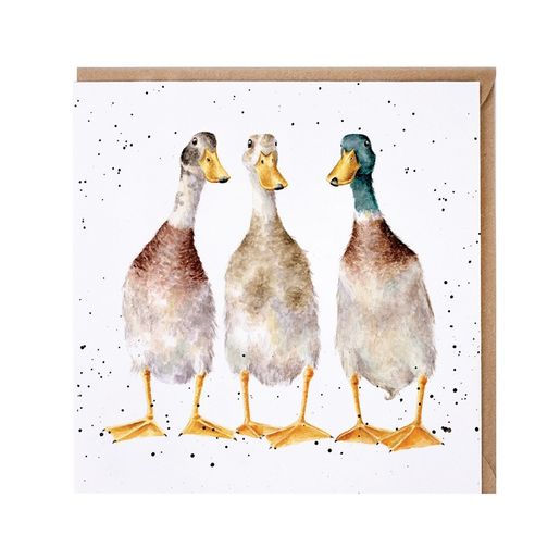 Přání Wrendale Designs "Tall Order", 15x15 cm - Kachny