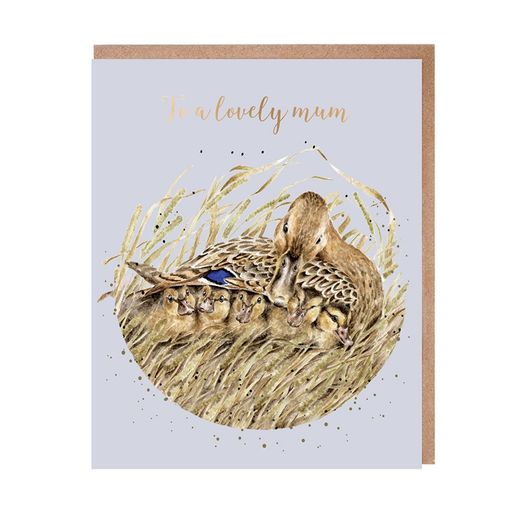 Přání pro maminku Wrendale Designs "Shelter from the Storm" - Kachny