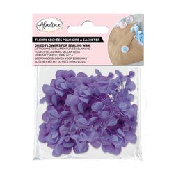 Sušené květiny do pečetí Aladine - violet, fialové
