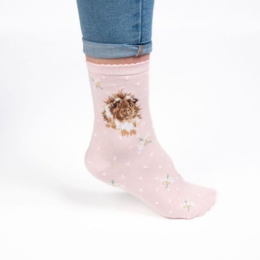 Dámské ponožky Wrendale Designs "Grinny Pig" - Morče