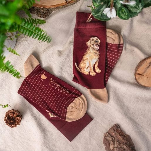 Pánské ponožky Wrendale Designs "Good as Gold" - Pes, retrívr