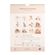 Rodinný kalendář 2027 Wrendale Designs "The Country Set", A3