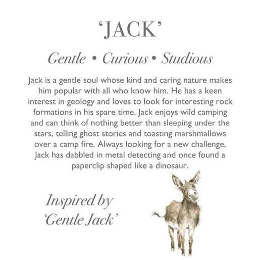Plyšová hračka Wrendale Designs "Donkey Jack", maxi - Oslík