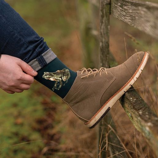 Pánské ponožky Wrendale Designs "The Happy Frog" - Žába