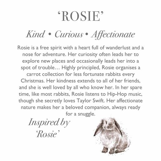 Plyšová hračka Wrendale Designs "Rabbit Rosie", super - Králík
