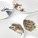 Jídelní porcelánové talíře Wrendale Designs, 4 ks - Lesní zvířata