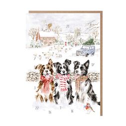 Přání s adventním kalendářem Wrendale Designs "While Shepherds Watched" - Pejsci