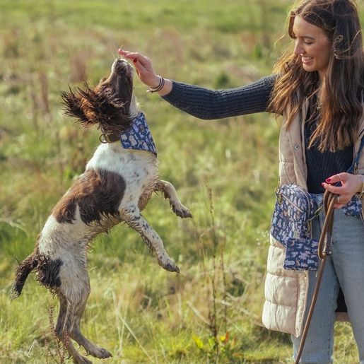 Taška na pamlsky Wrendale Designs - Pejsci