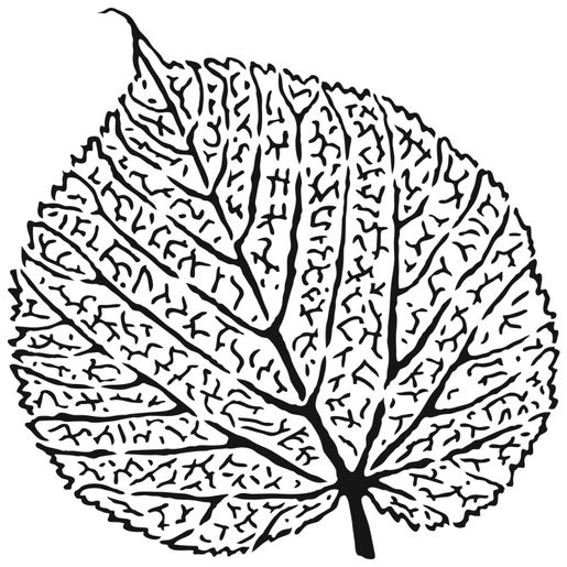 Šablona TCW - Skeletal Leaf - VYBERTE VELIKOST