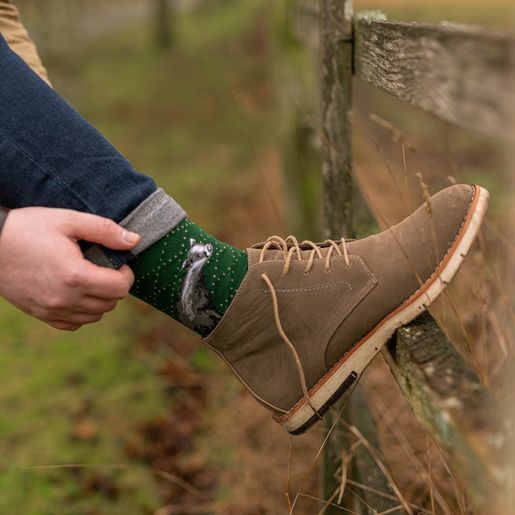 Pánské ponožky Wrendale Designs "A Country Gent" - Jezevec