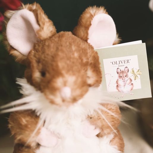 Plyšová hračka Wrendale Designs "Mouse Oliver" - Myška, mládě