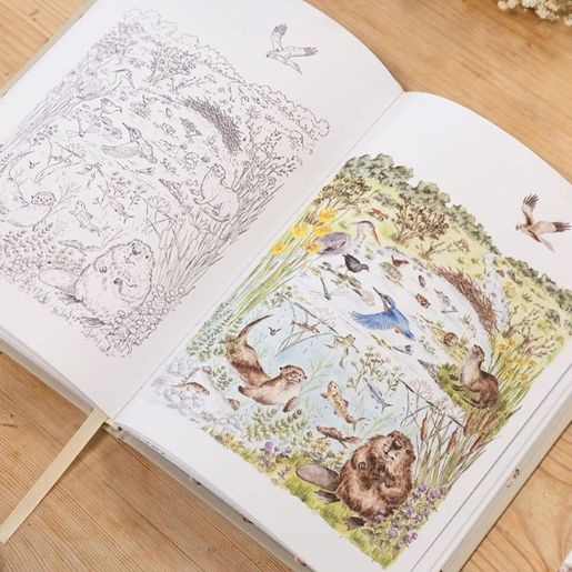 Skicák a omalovánky Wrendale Designs "The Wild Garden", A5 - Zajíc