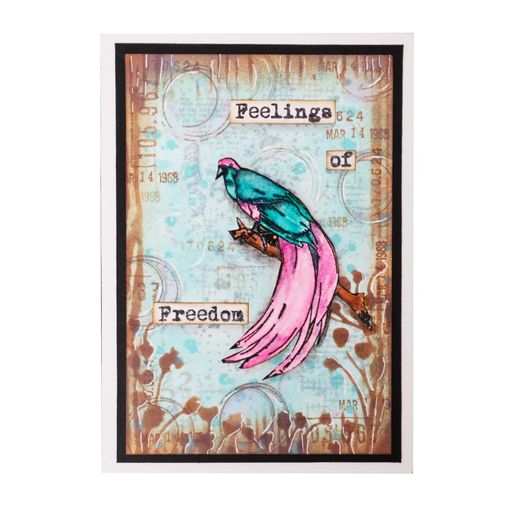 Gelové razítko Studio Light "Feelings of Freedom", 9x19 cm - Ptáčci z džungle