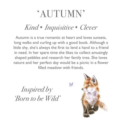 Plyšová hračka Wrendale Designs "Fox Autumn", super - Liška