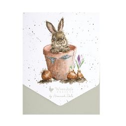 Sada přání a obálek Wrendale Designs "The Flower Pot", 8 ks - Králík v květináči
