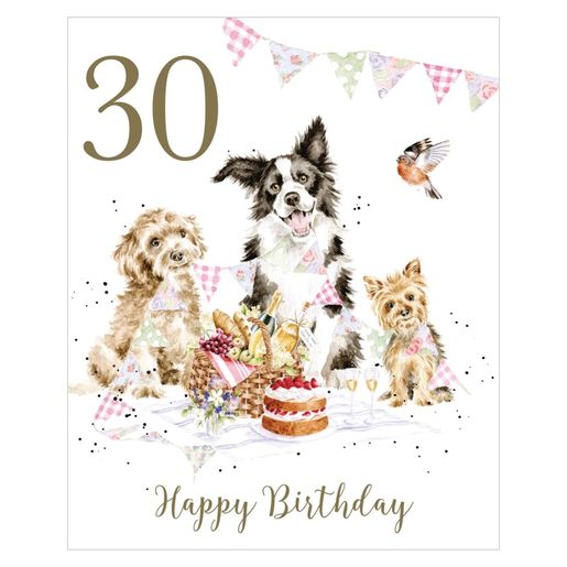 Narozeninové přání Wrendale Designs "30 Birthday Pawty" - Pejsci