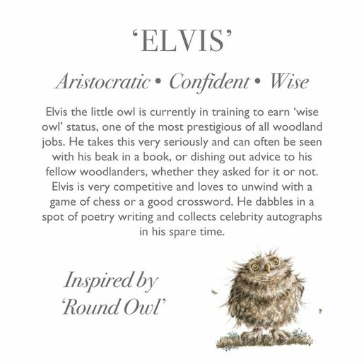 Plyšová hračka Wrendale Designs "Owl Elvis", velká - Sova