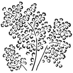 Šablona TCW 12"x12" (30,5x30,5 cm) - Maidenhair Fern