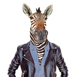 Transferový obrázek na textil Cadence, 21x30 cm - Zebra