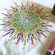 Transferový obrázek na textil Cadence, 25x35 cm - Mandala 5