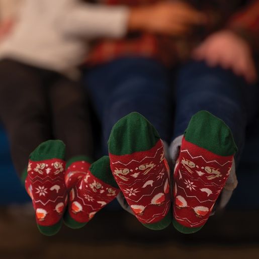 Pánské ponožky Wrendale Designs "Season