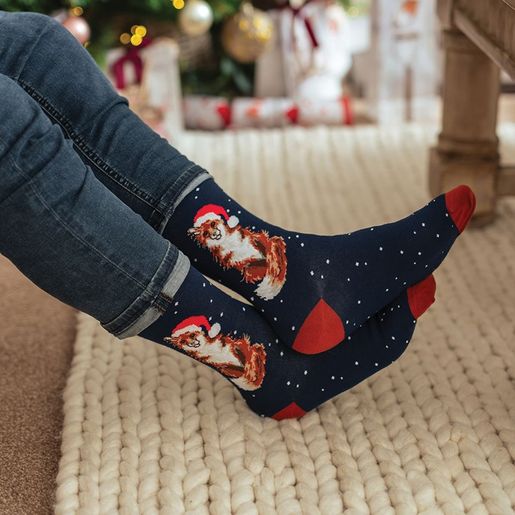 Pánské ponožky Wrendale Designs "Festive Fox" - Liška, vánoční