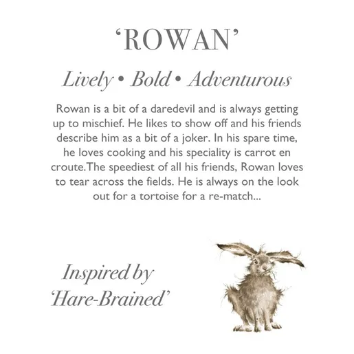 Plyšová hračka Wrendale Designs "Hare Rowan" - Zajíc, mládě