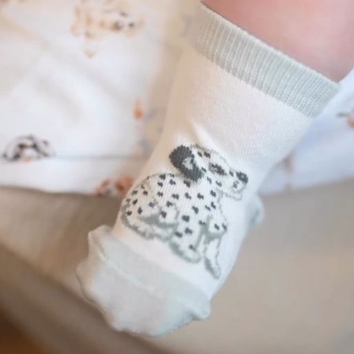 Dětské ponožky Wrendale Designs "Little Paws" - Štěňátka - VYBERTE VELIKOST