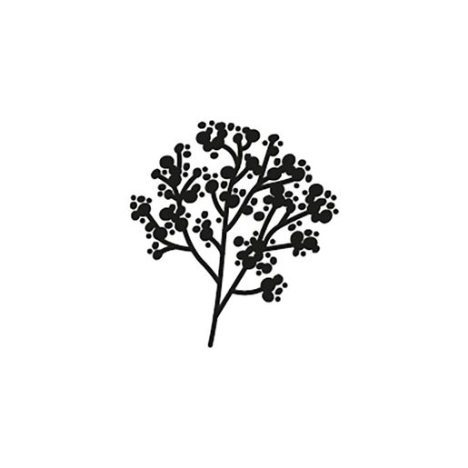 Pečeť Aladine - Nevěstin závoj