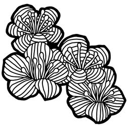 Šablona TCW - Hawthorn Flowers - VYBERTE VELIKOST